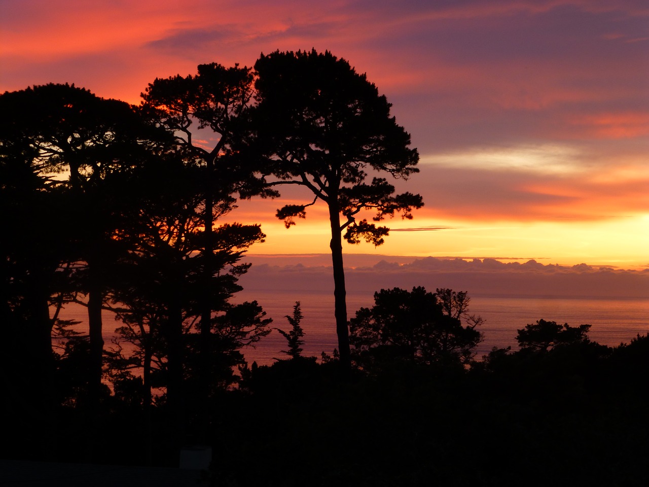 sunset  ocean  california free photo