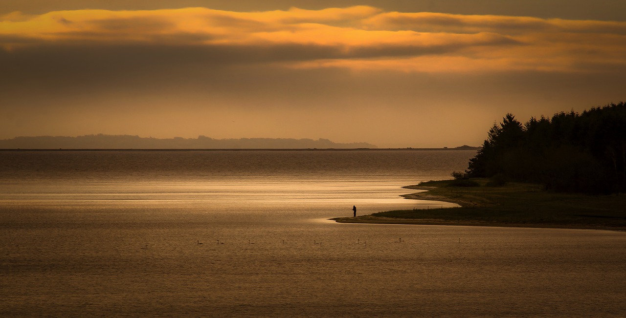 sunset  fishing  coast free photo