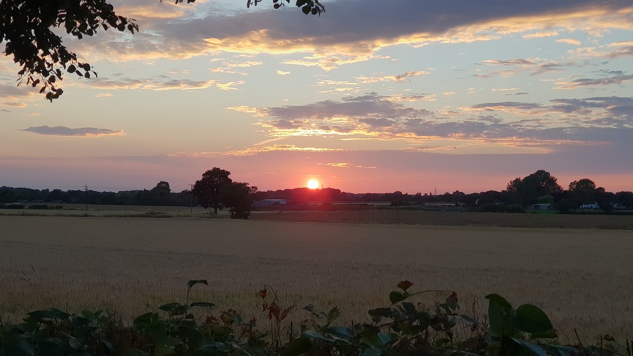 sunset  evening  clouds free photo