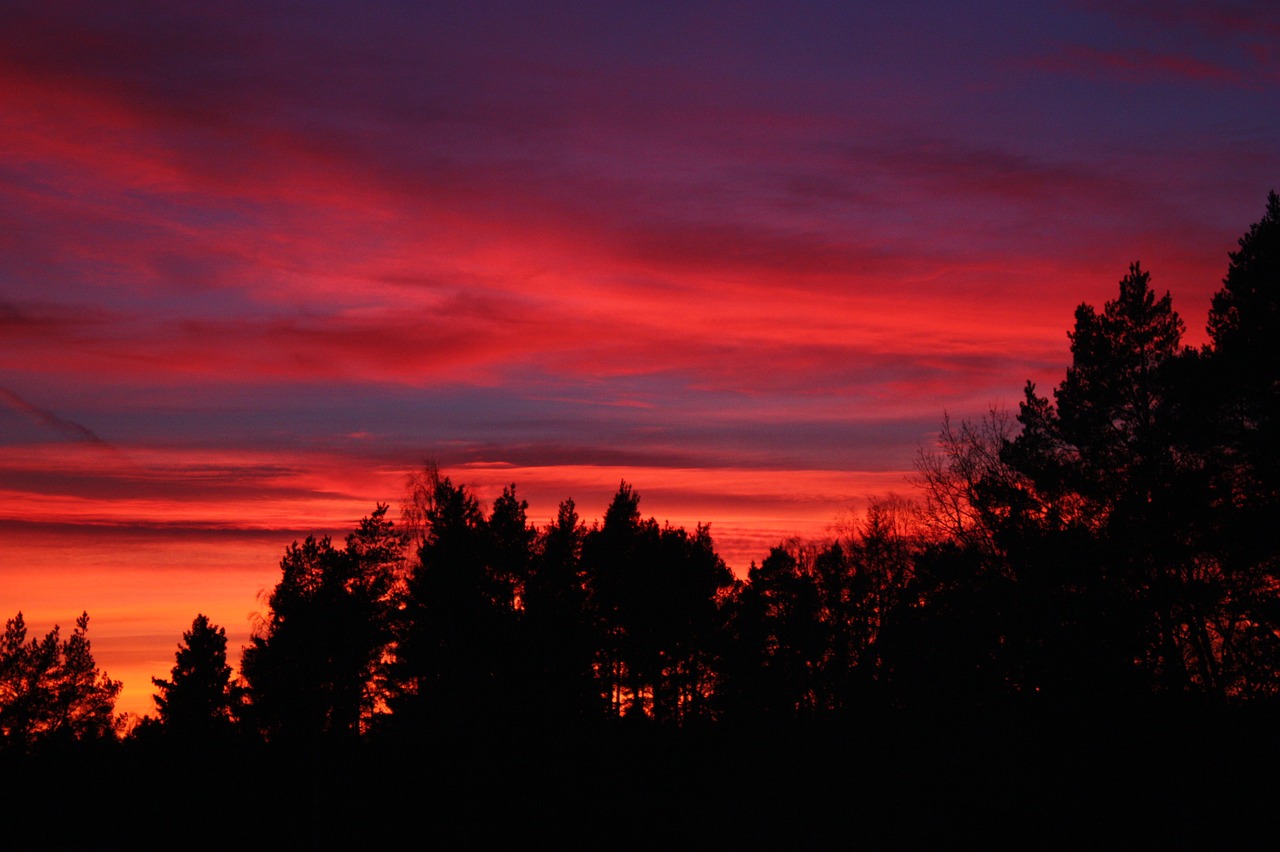 sunset  evening  sky free photo