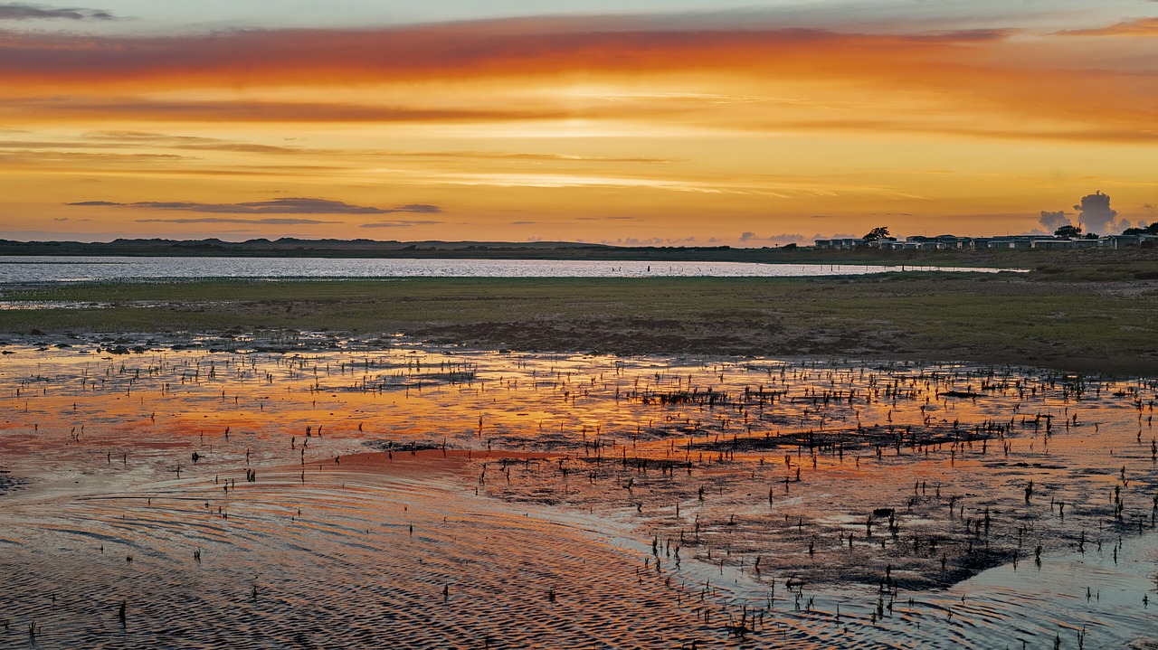 sunset  sky  evening free photo