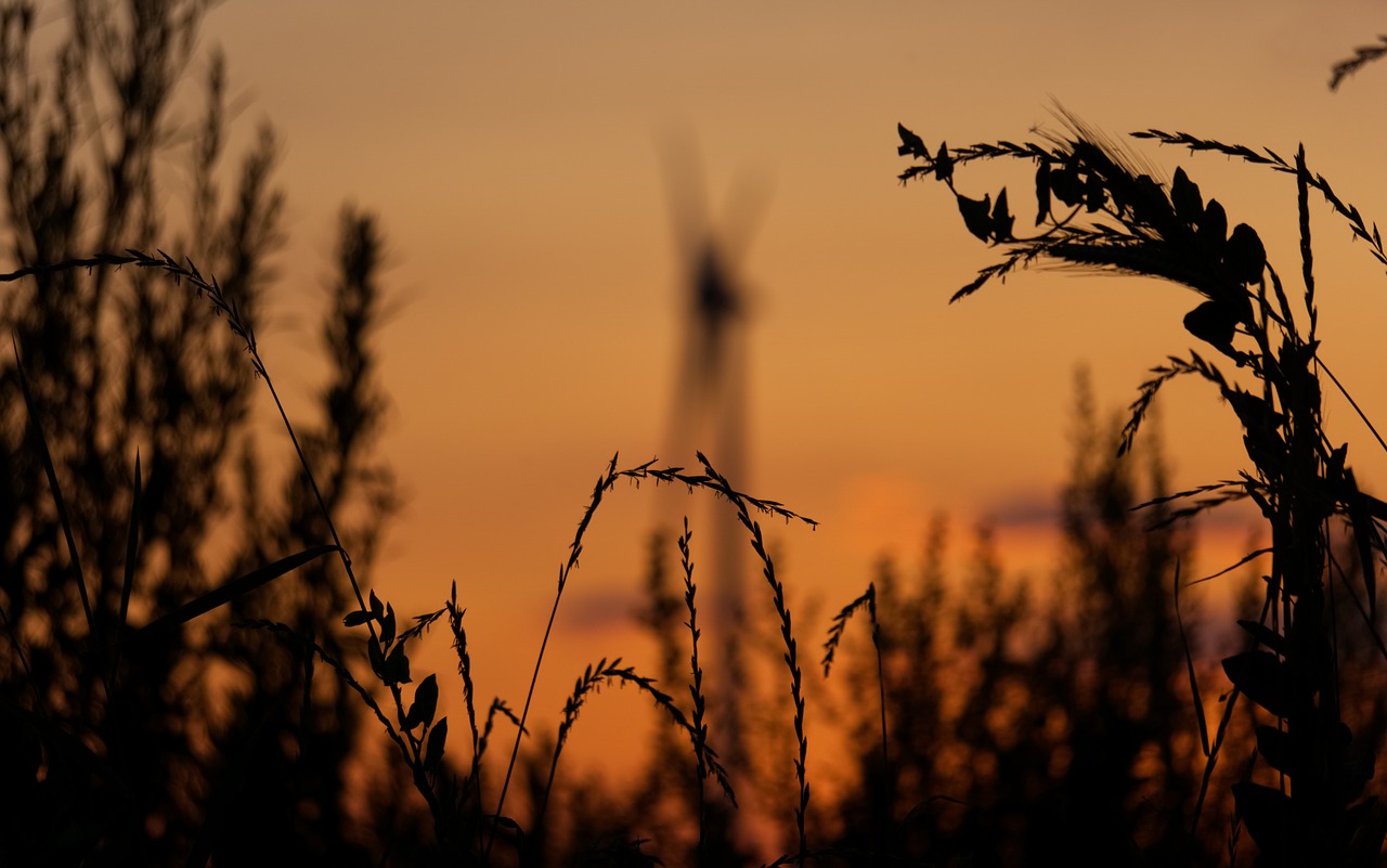 sunset  pinwheel  environmental technology free photo