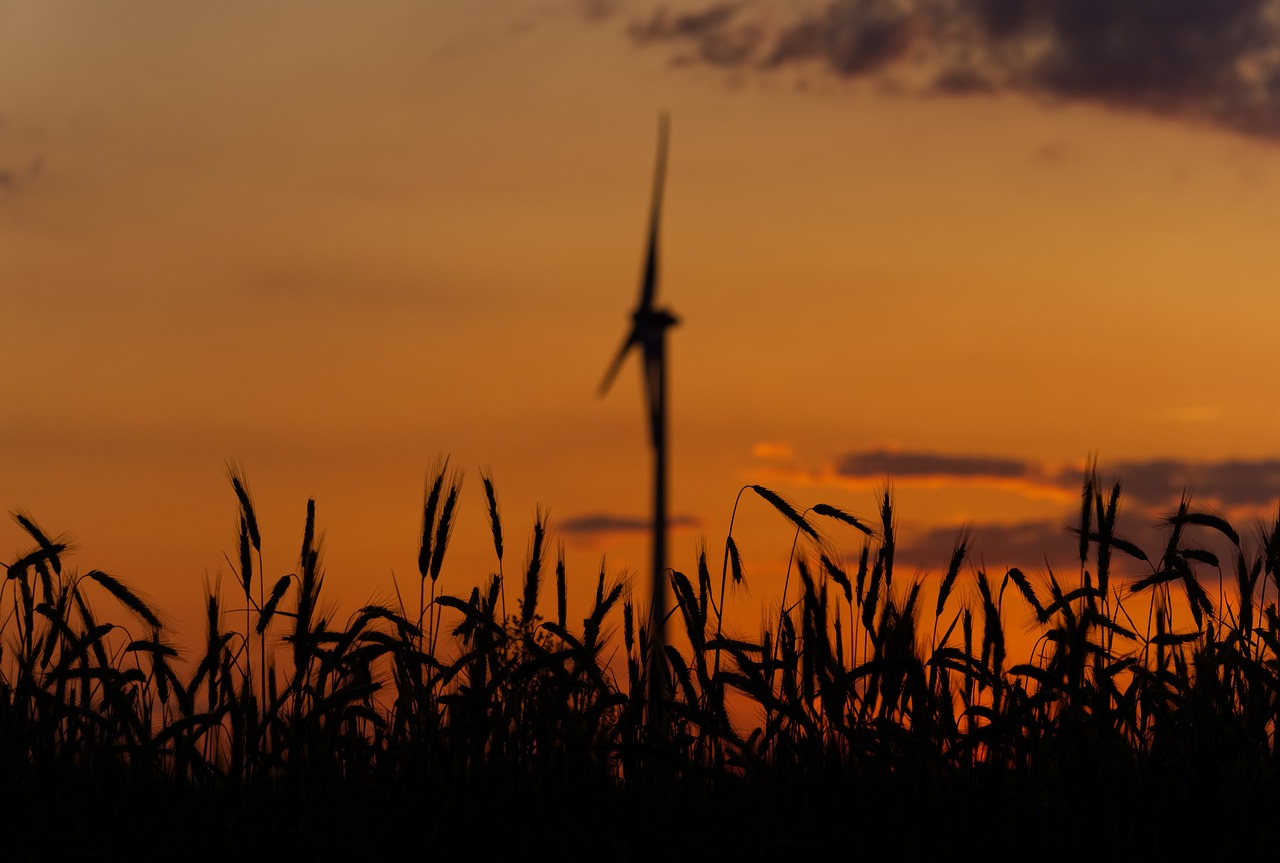 sunset  pinwheel  environmental technology free photo