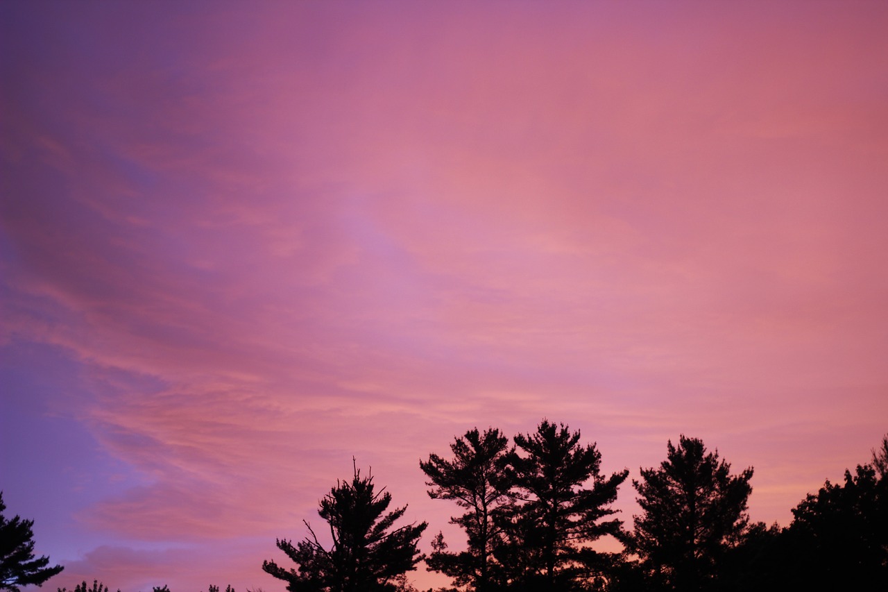 sunset  pink  yellow free photo