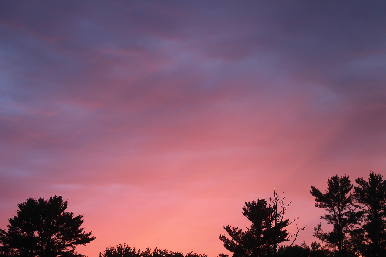 sunset  pink  yellow free photo