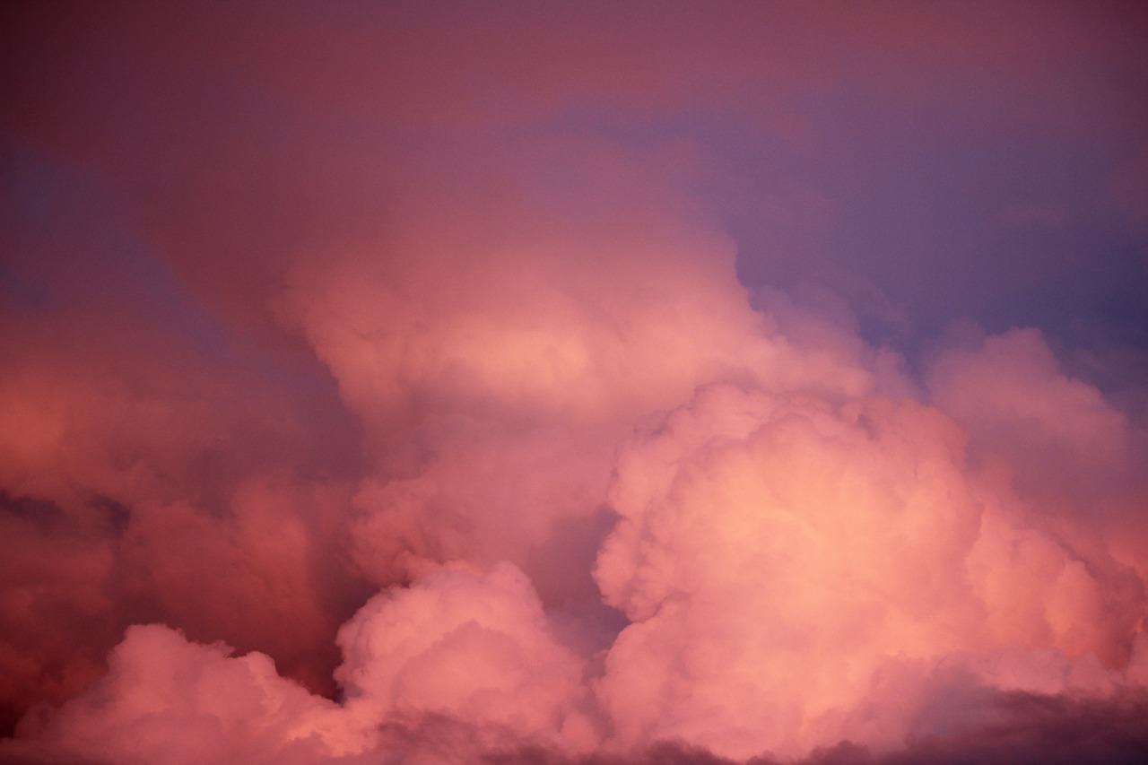 sunset  pink  clouds free photo