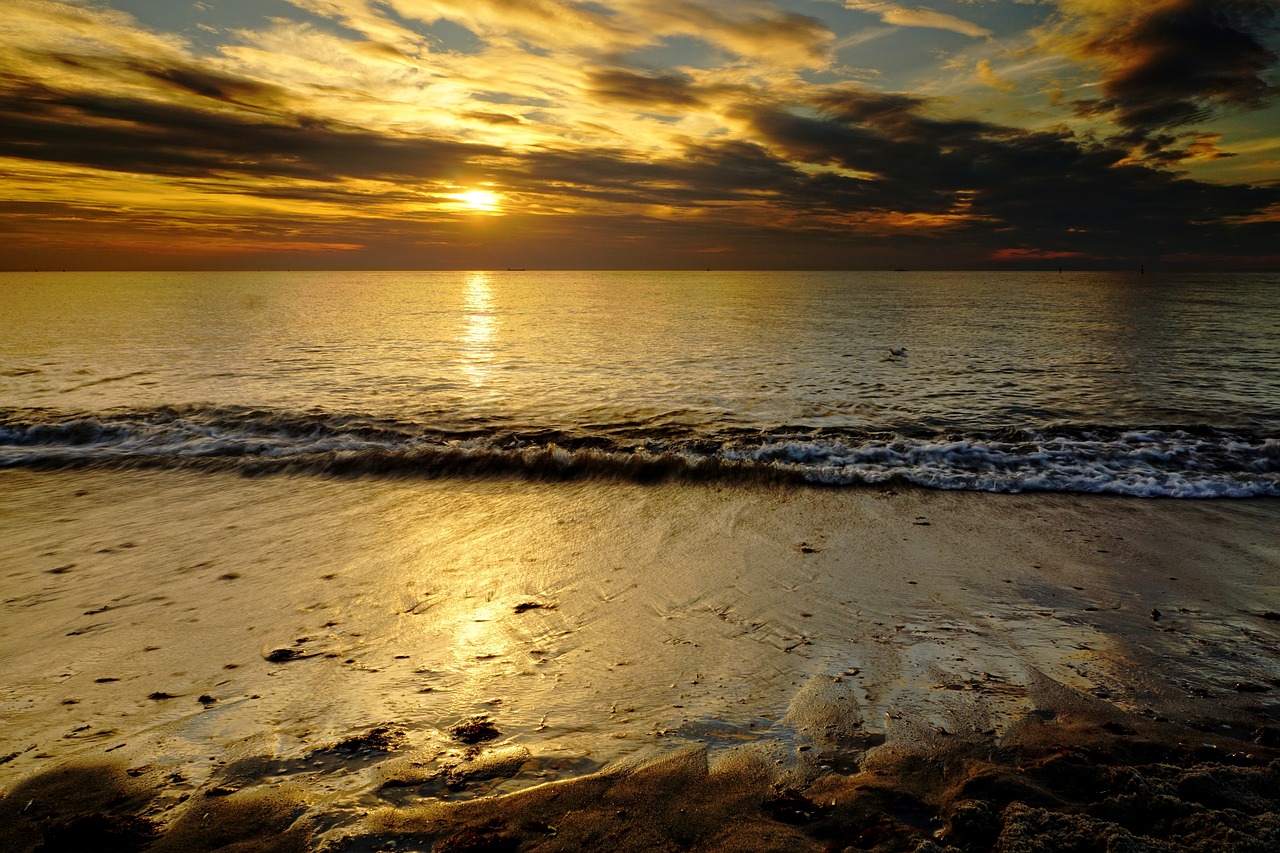 sunset  sea  water free photo