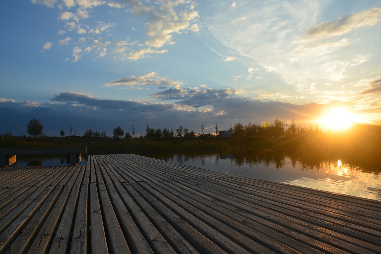 sunset  path  nature free photo