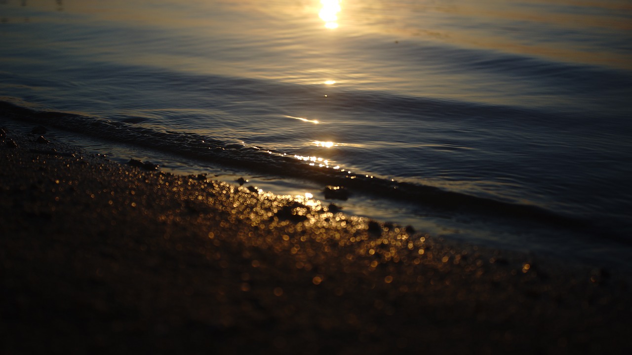 sunset  sea wave  wave free photo