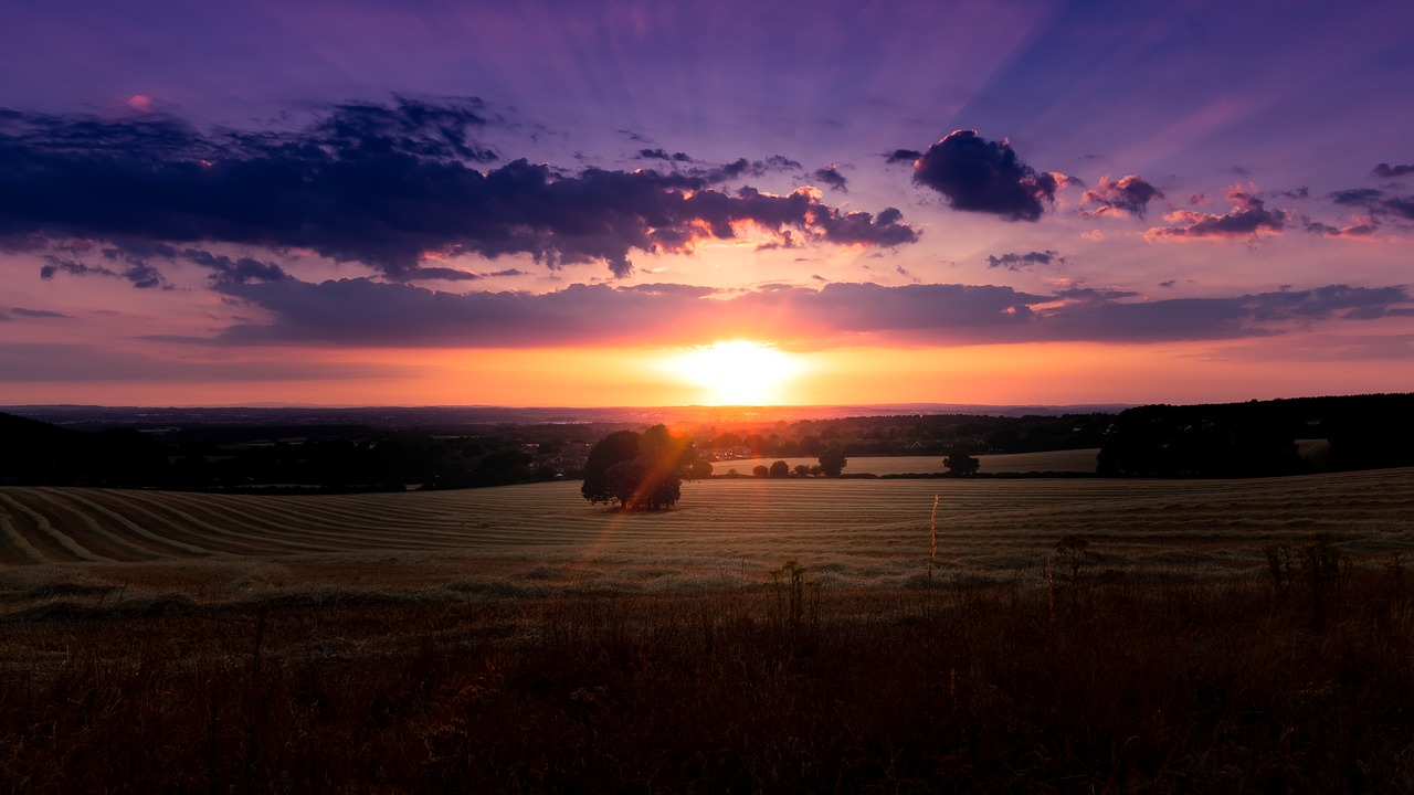 sunset  clouds  sky free photo