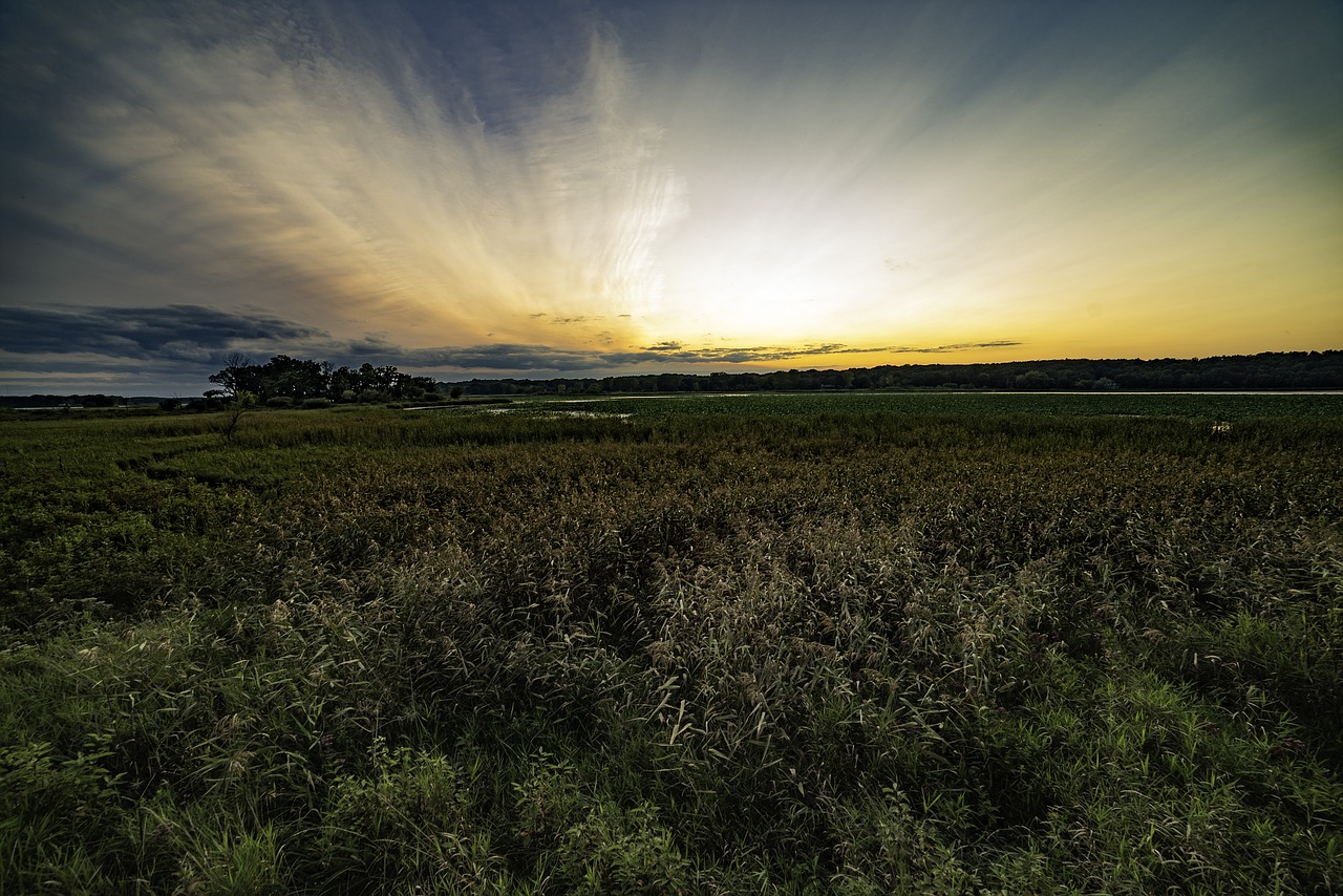 sunset  sky  dramatic free photo