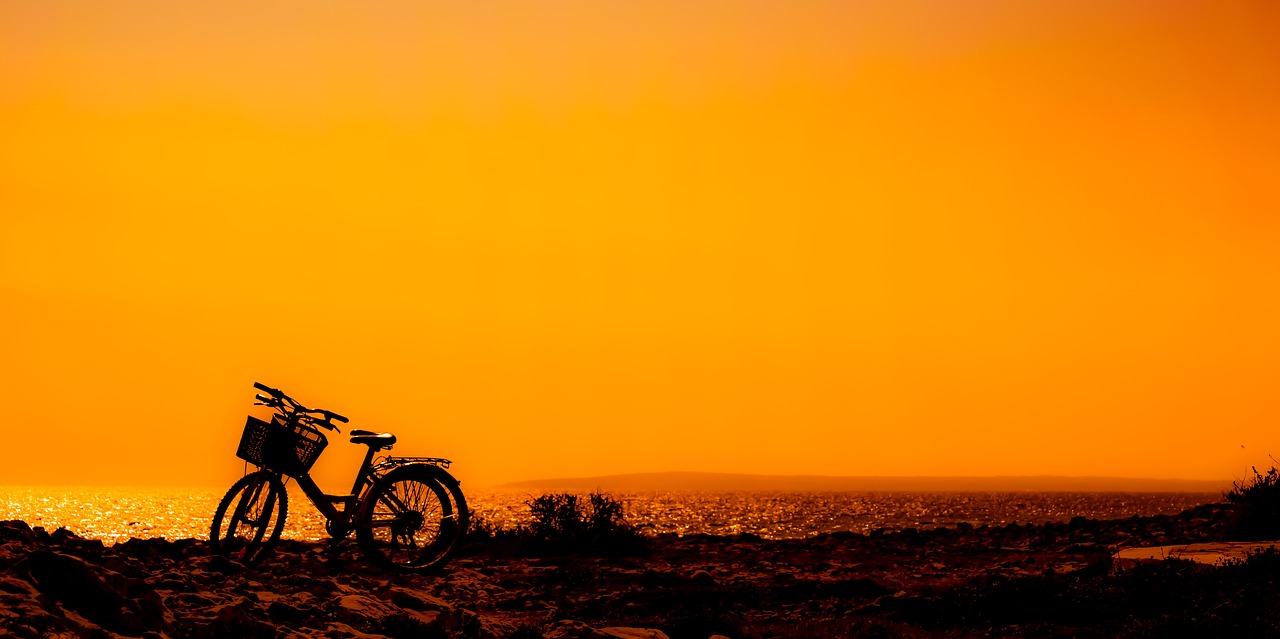 sunset  bikes  nature free photo
