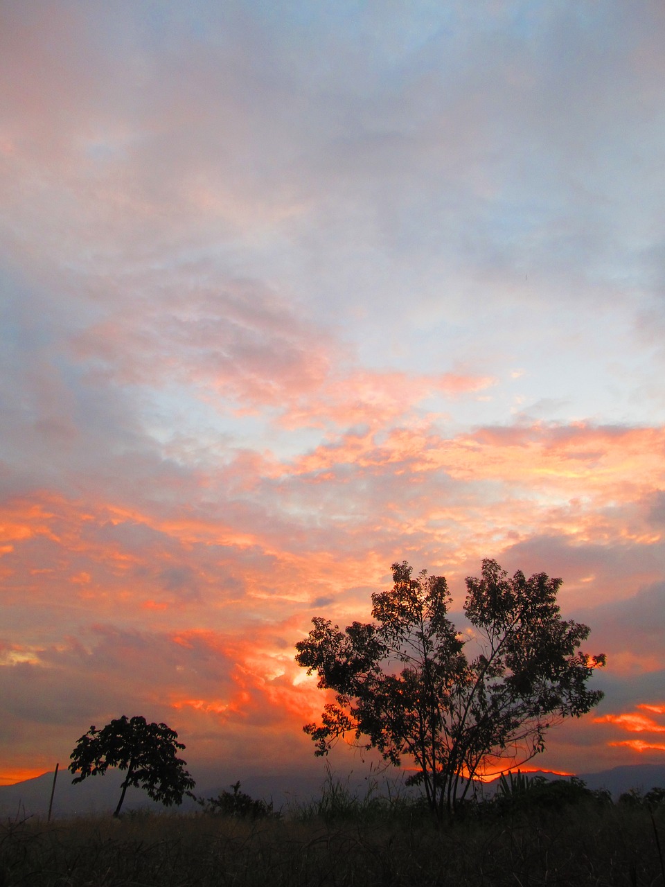 sunset  horizon  clouds free photo