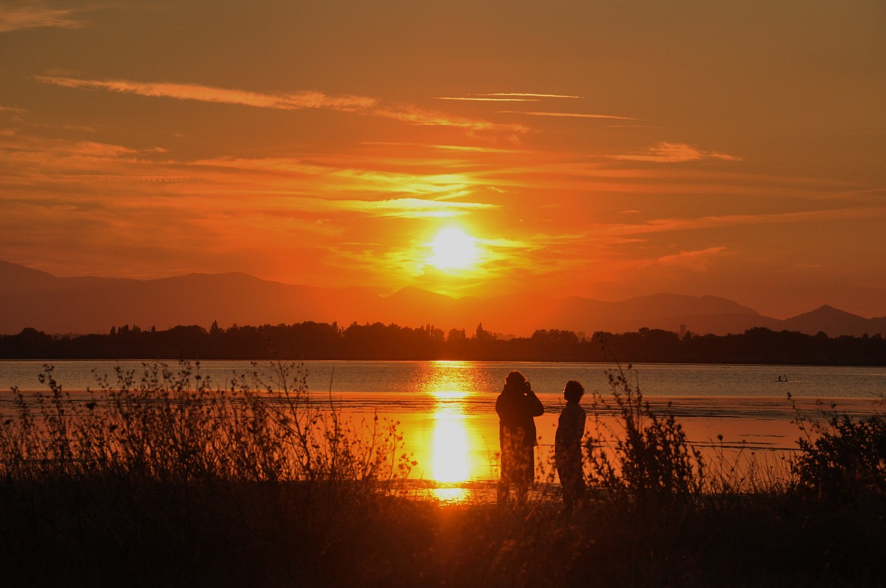 sunset  pond  landscape free photo