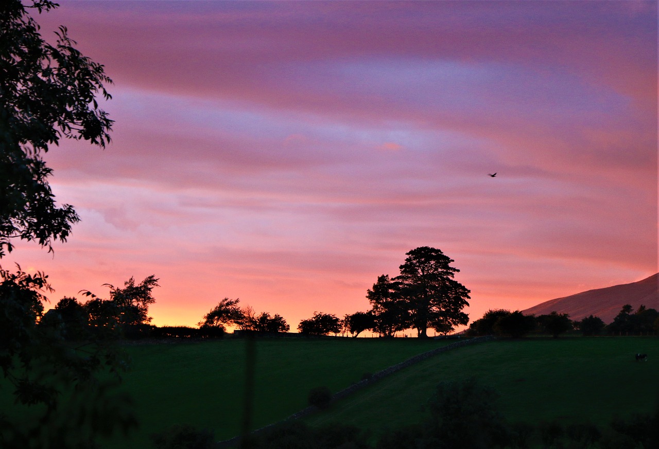 sunset  evening  dusk free photo