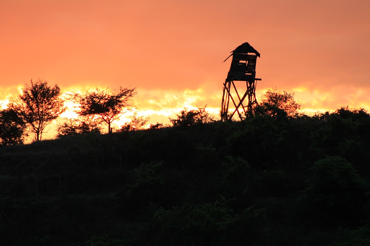 sunset  hunting  nature free photo