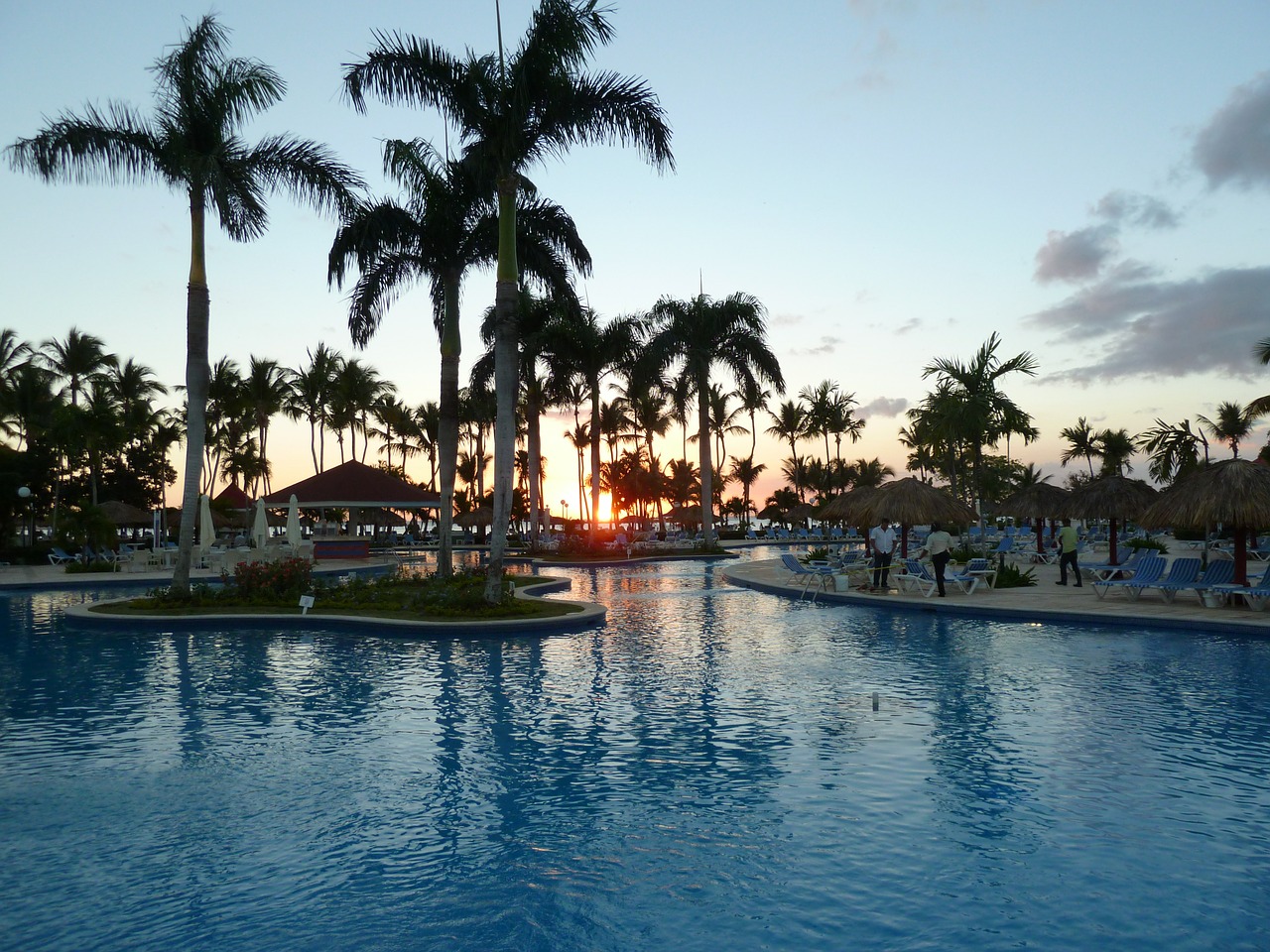 sunset swimming pool palm trees free photo