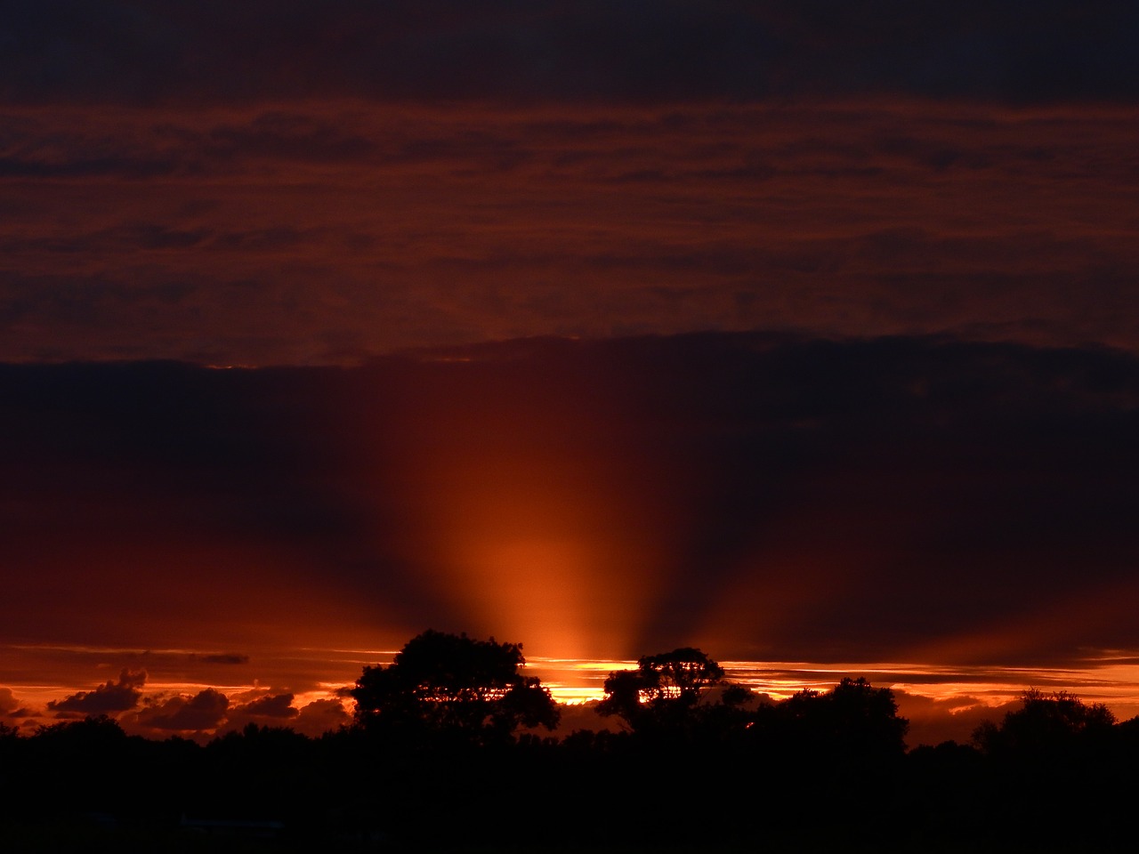 sunset  evening sky  backlighting free photo