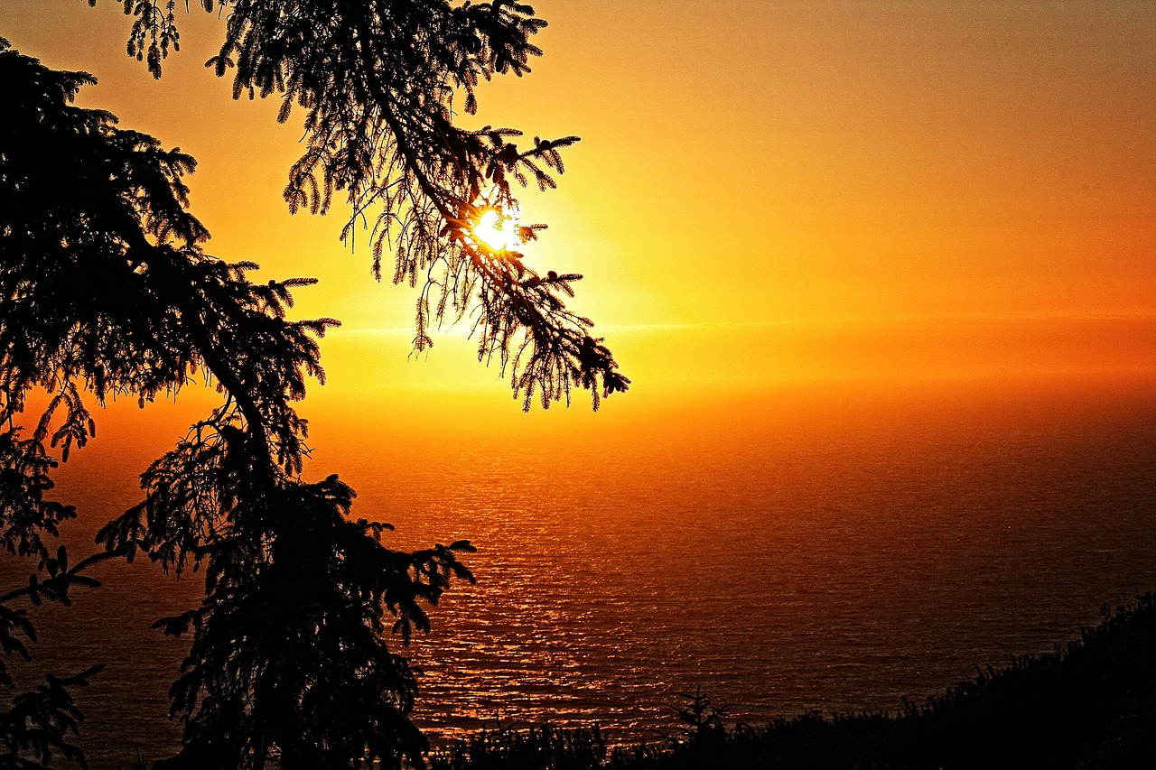 sunset  ocean  sea free photo