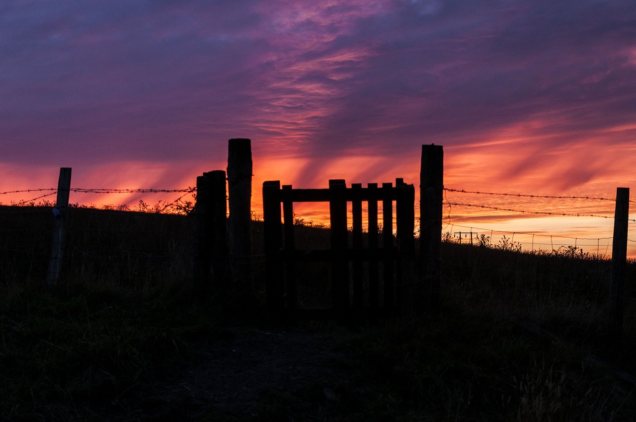 sunset  sky  silhouette free photo