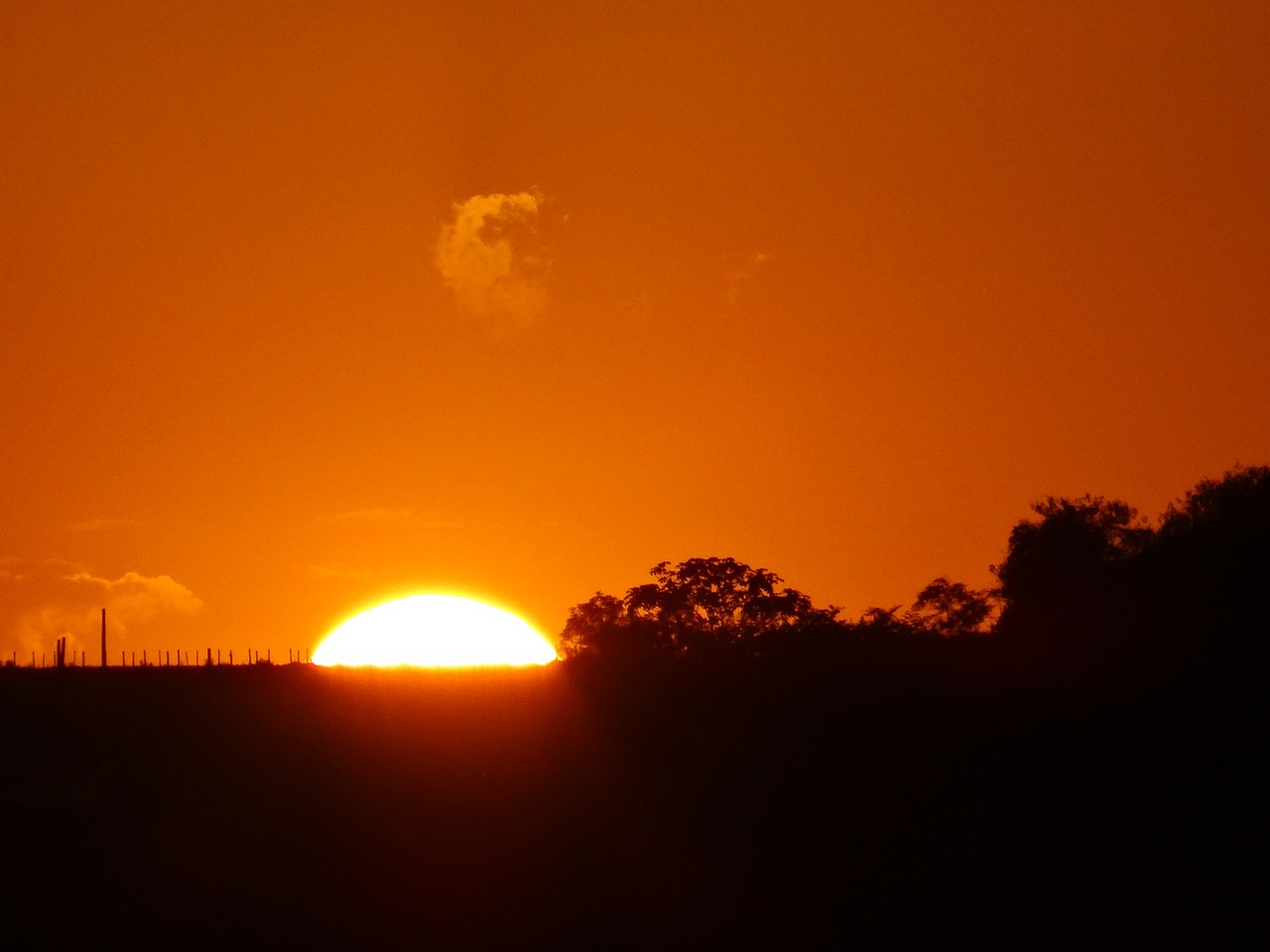 sunset sol horizon free photo