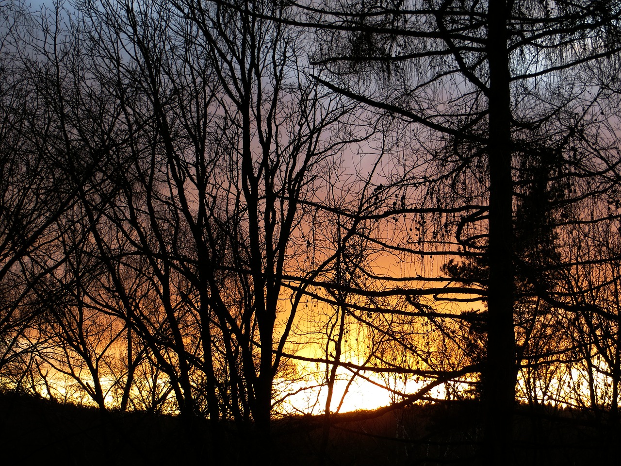 sunset sky abendstimmung free photo