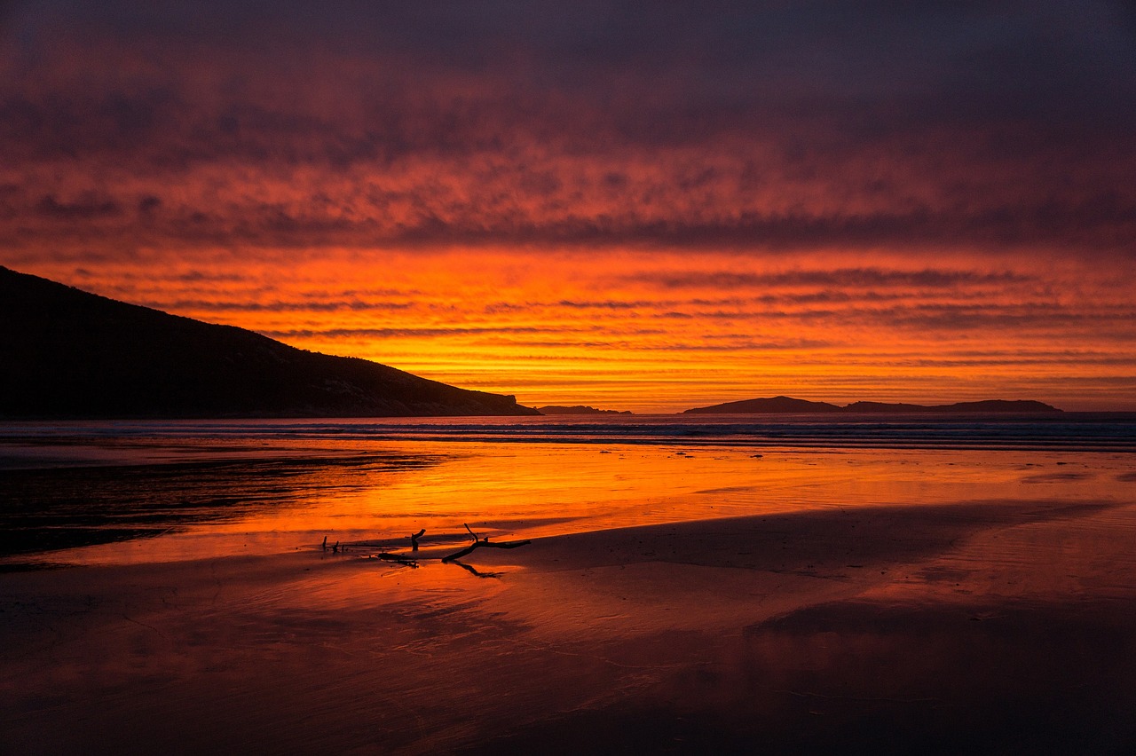 sunset  coastline  beach free photo