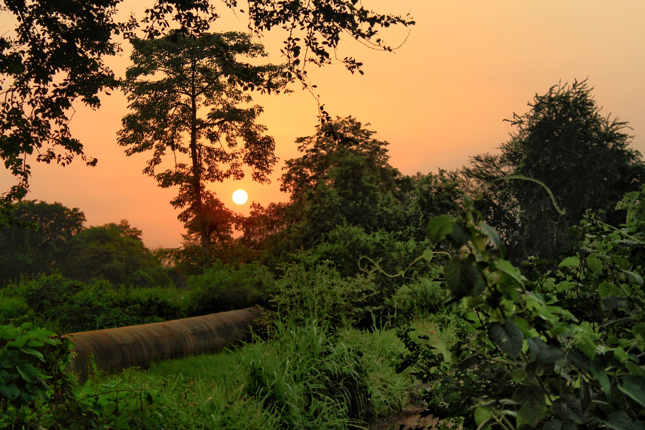 sunset  nature  orange free photo