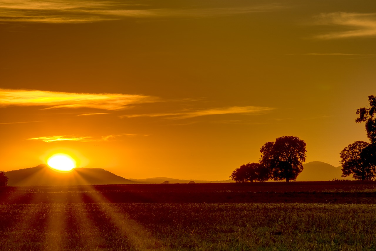 sunset  sun  light star free photo