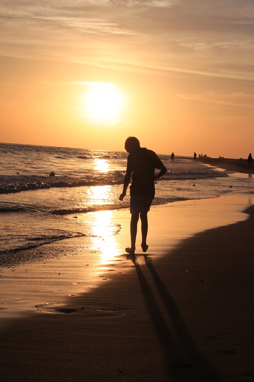 sunset  sea  beach free photo