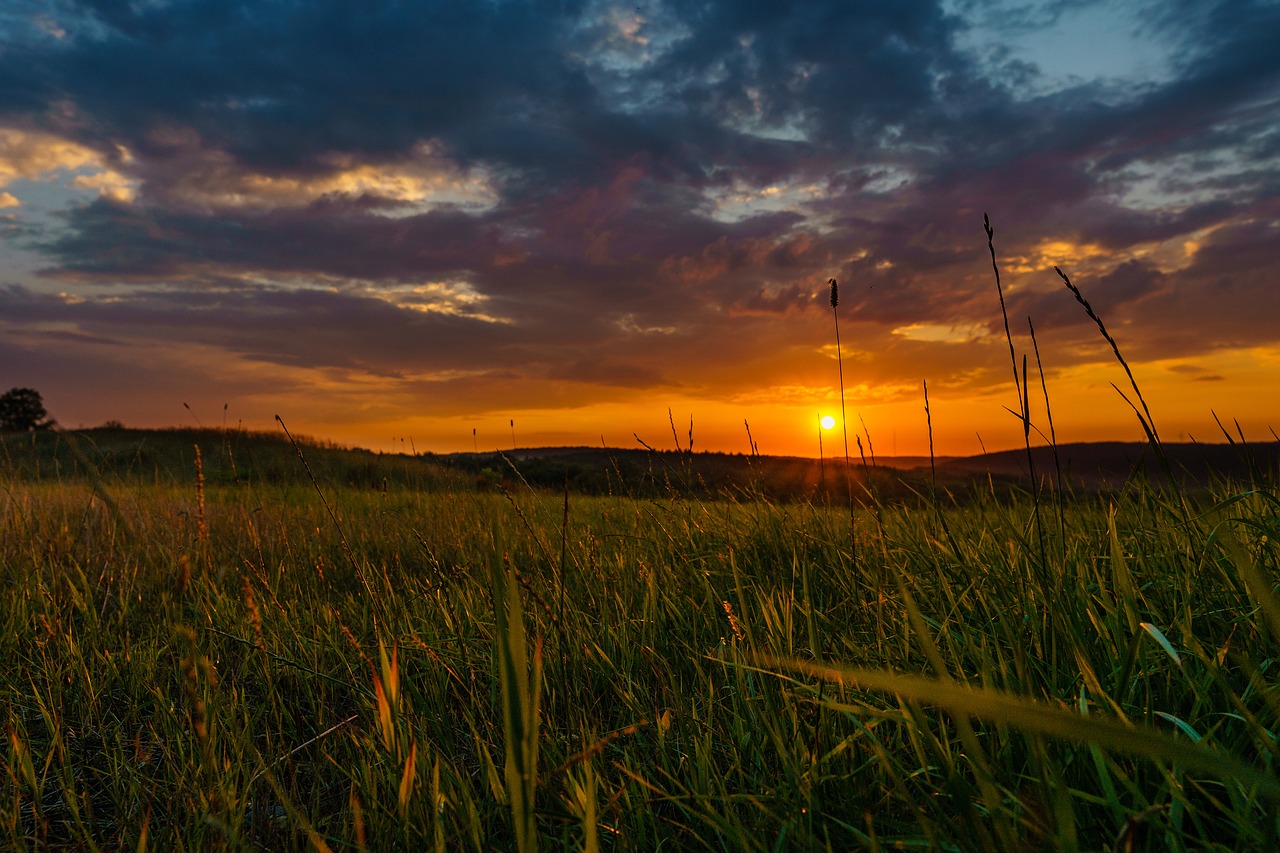 sunset  clouds  grass free photo