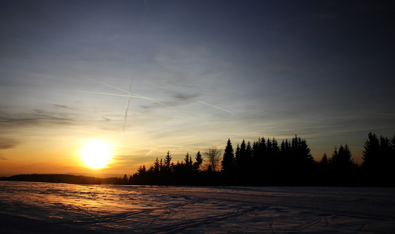 sunset snow tree free photo