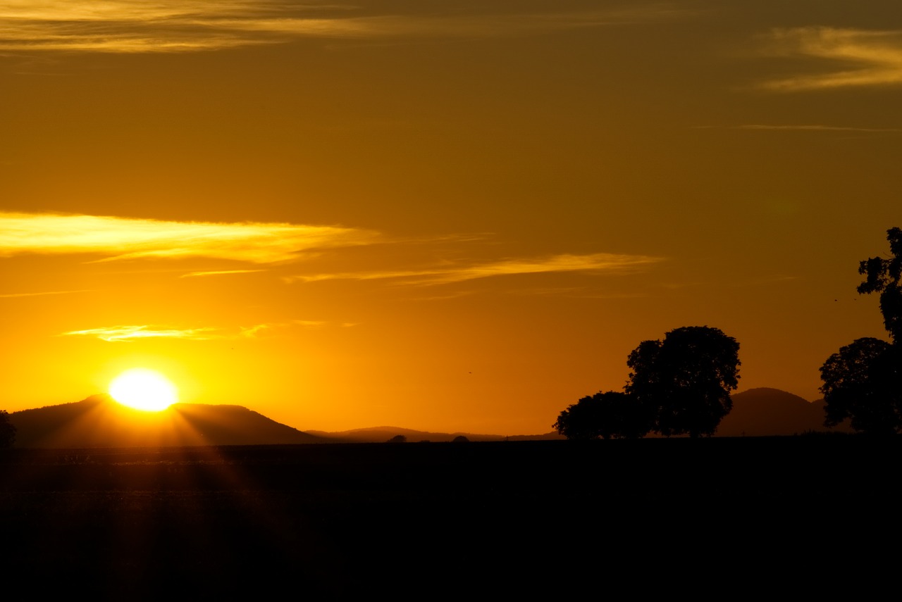 sunset  sun  light star free photo