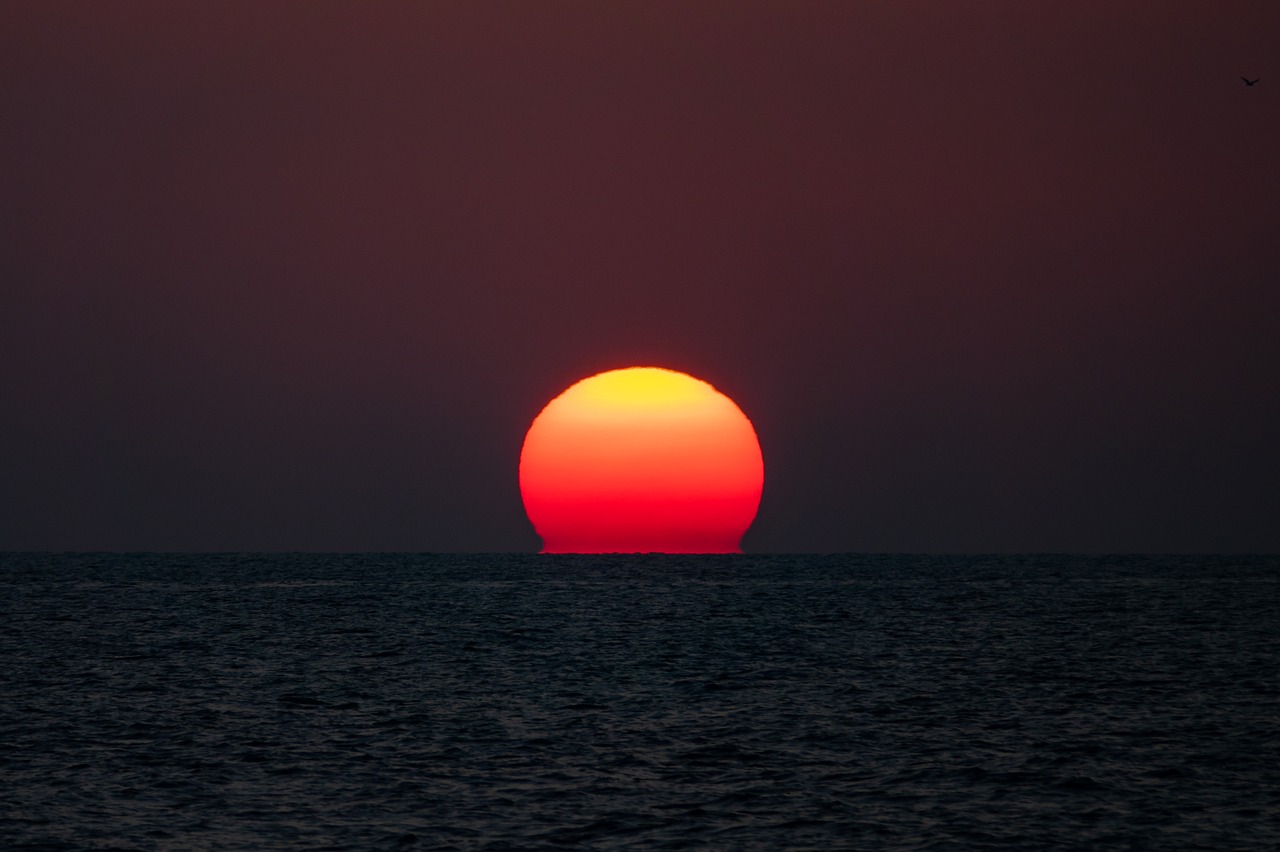 sunset  sun  sea free photo