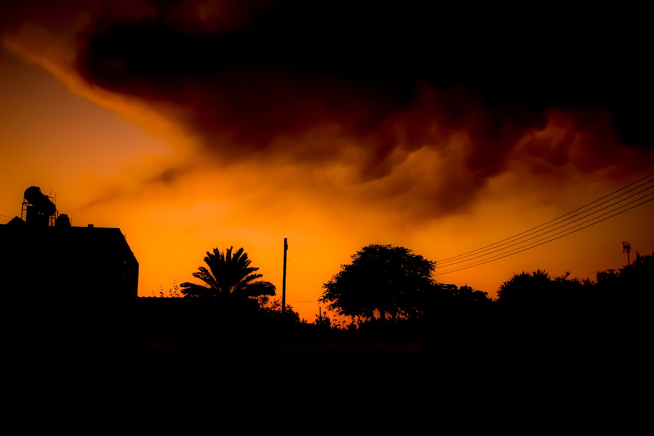 sunset  shadows  silhouettes free photo