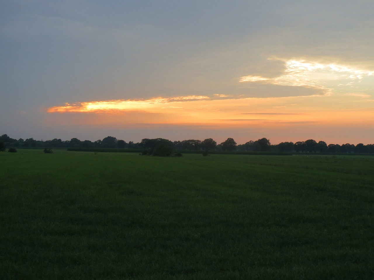 sunset pasture evening free photo