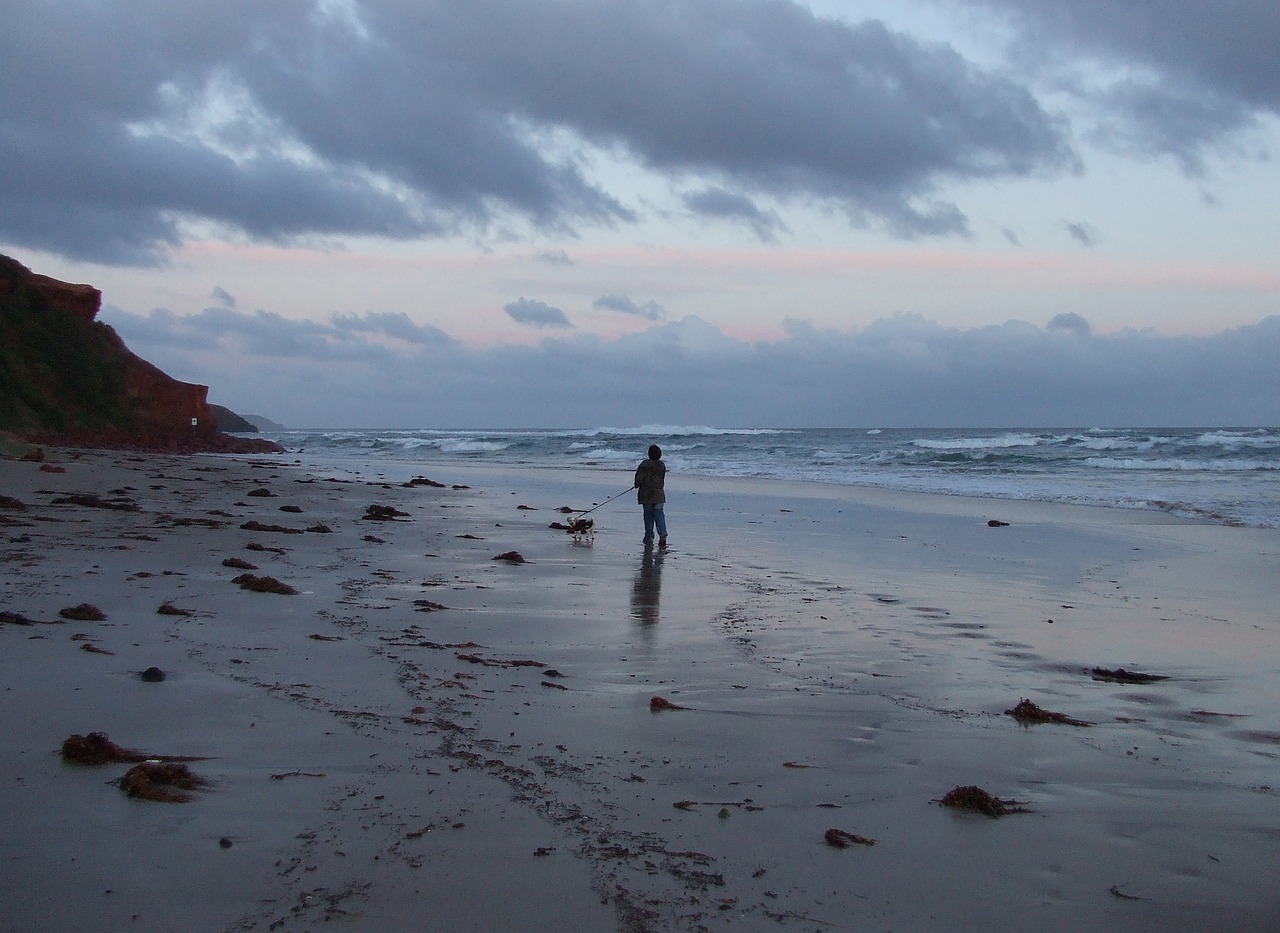 sunset  australia  coast free photo