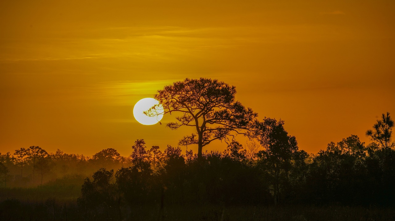 sunset  landscape  silhouette free photo