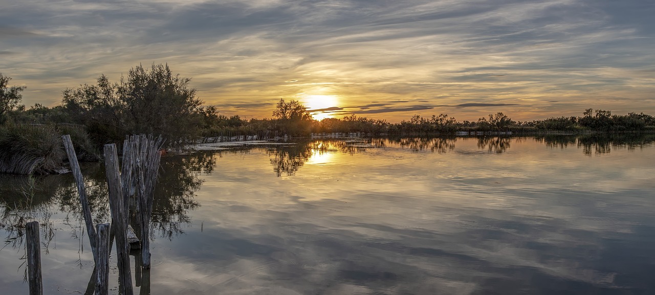 sunset  camargue  provence free photo