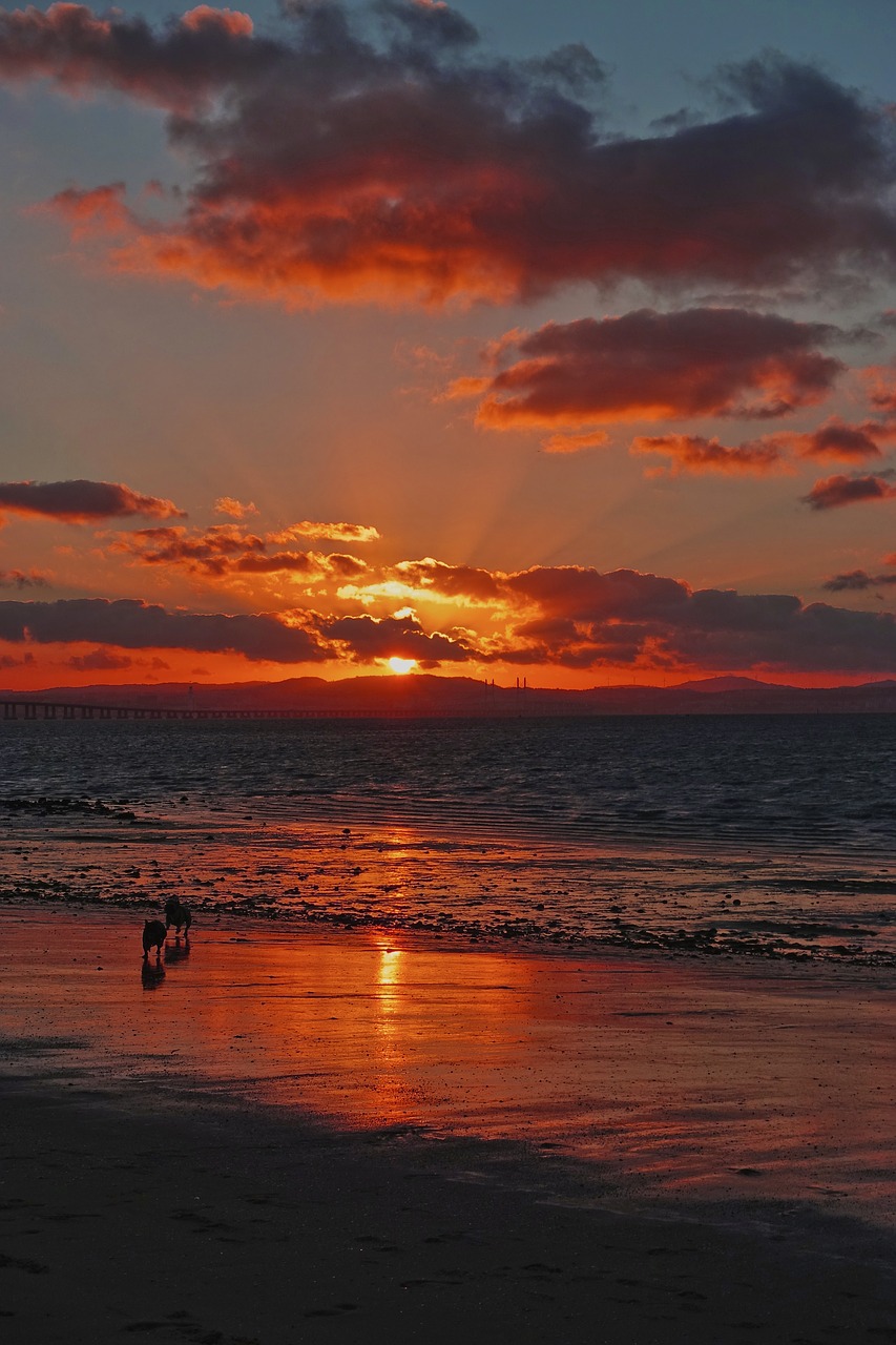 sunset  water  mar free photo