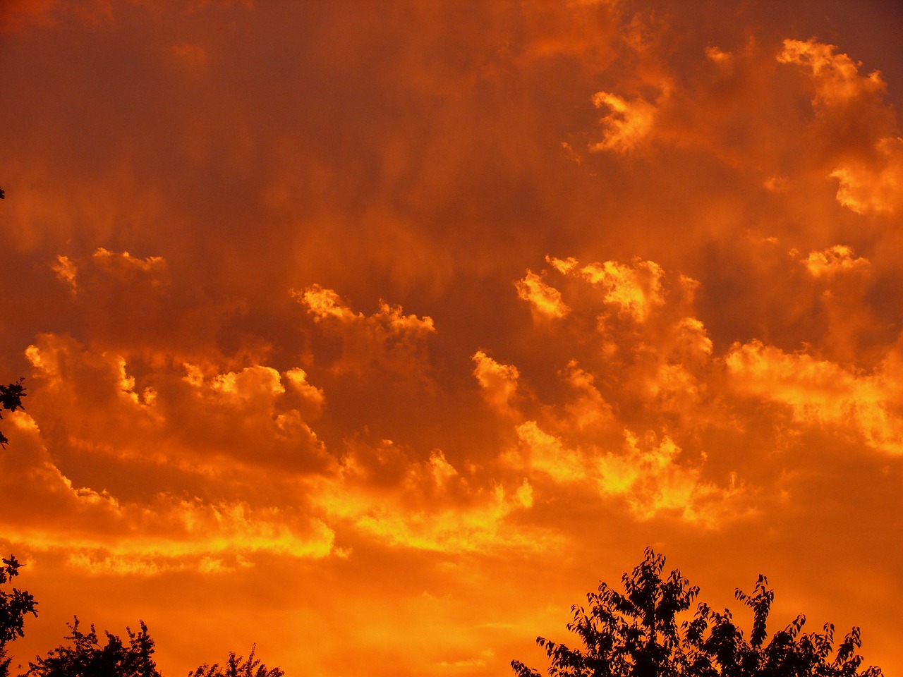 sunset red clouds free photo