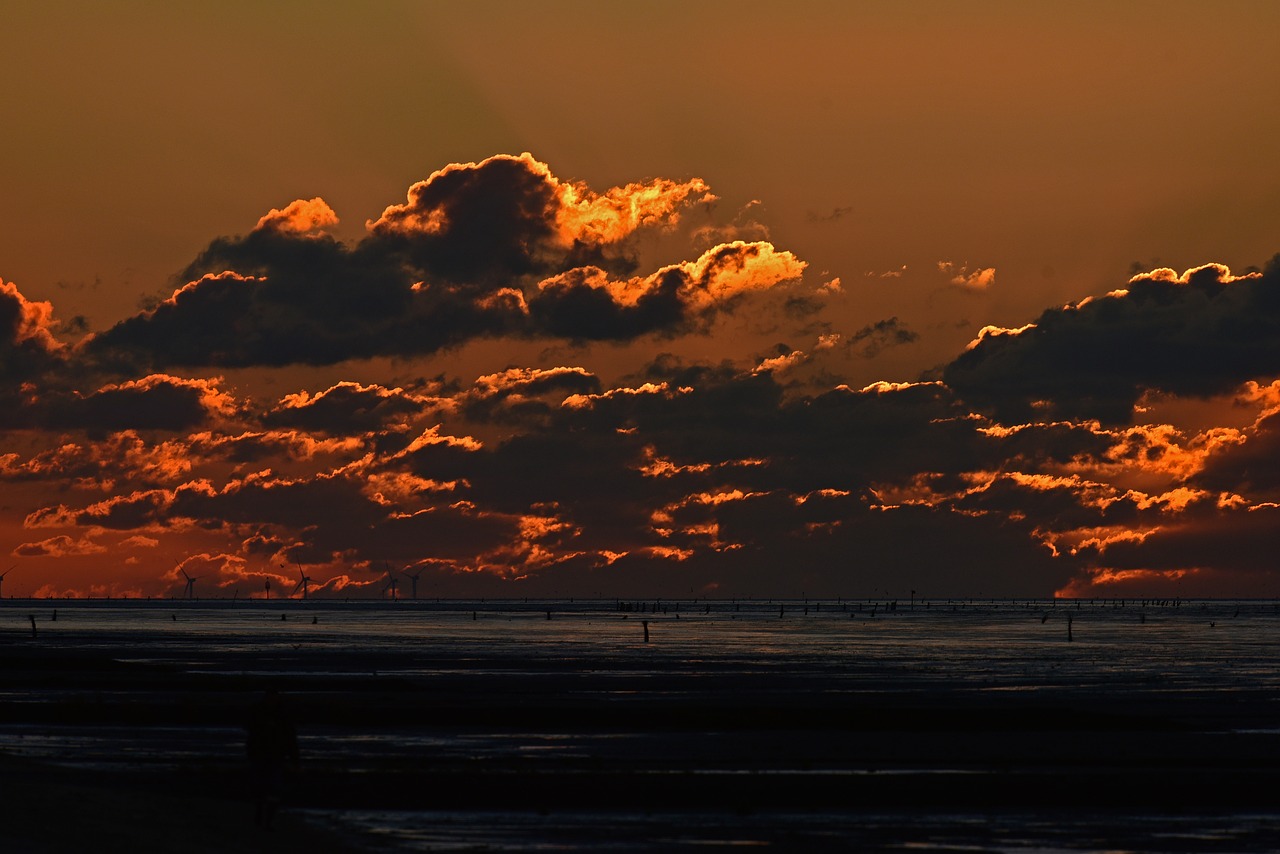 sunset  wadden sea  watts free photo