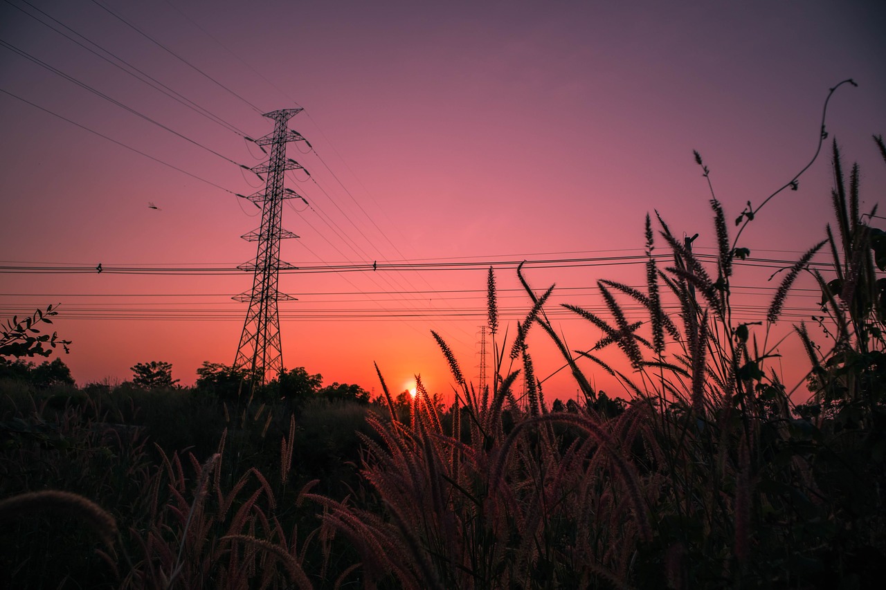 sunset  meadow  background free photo