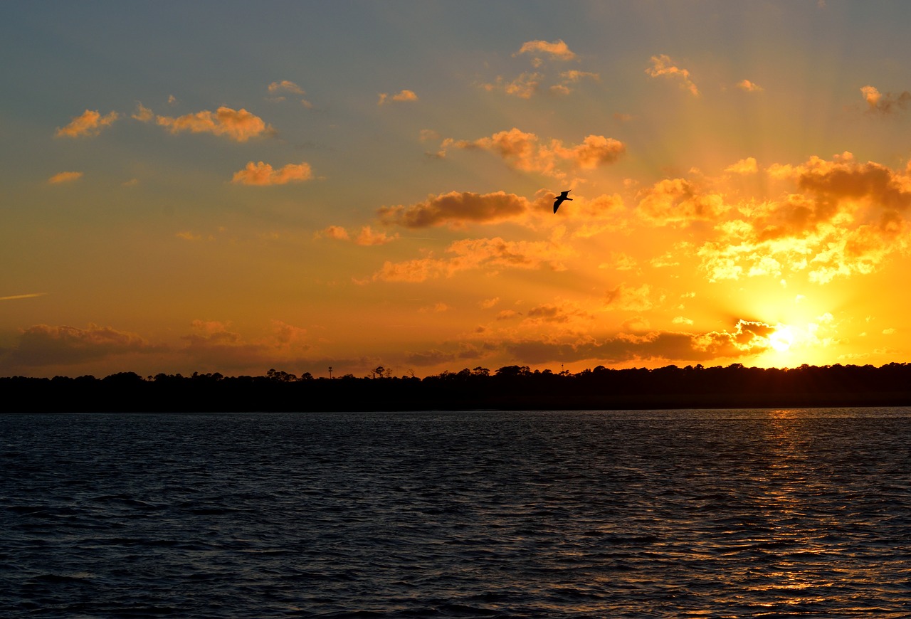 sunset  sky  orange color free photo