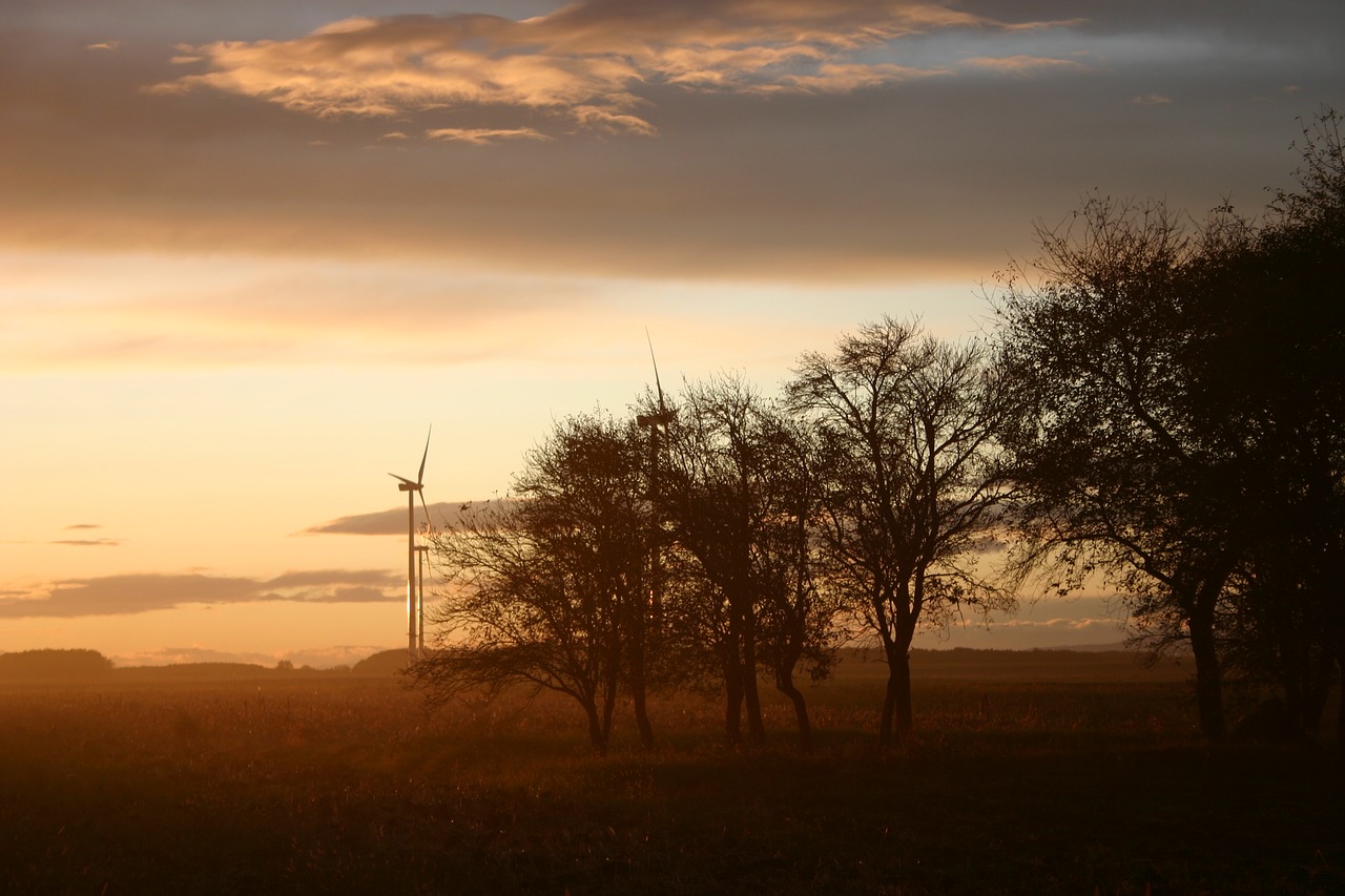 sunset  trees  windmill free photo