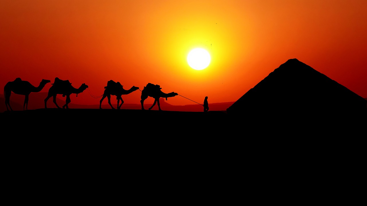 sunset  caravan  camels free photo