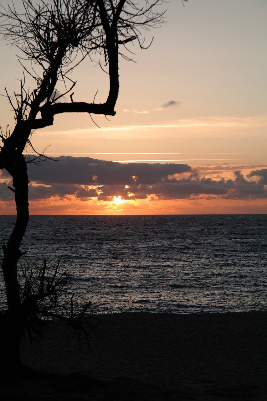 sunset  sea  beach free photo