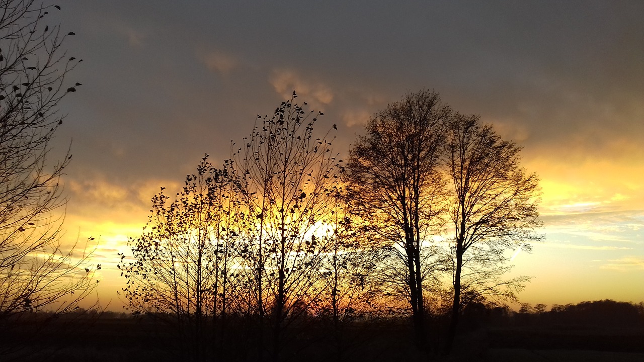 sunset  clouds  sky free photo