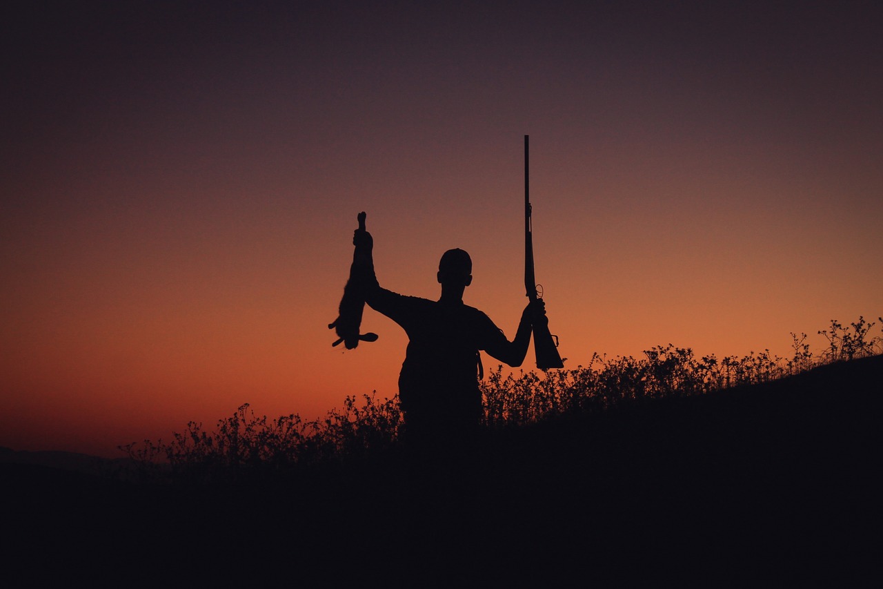 sunset  sniper  abdul free photo