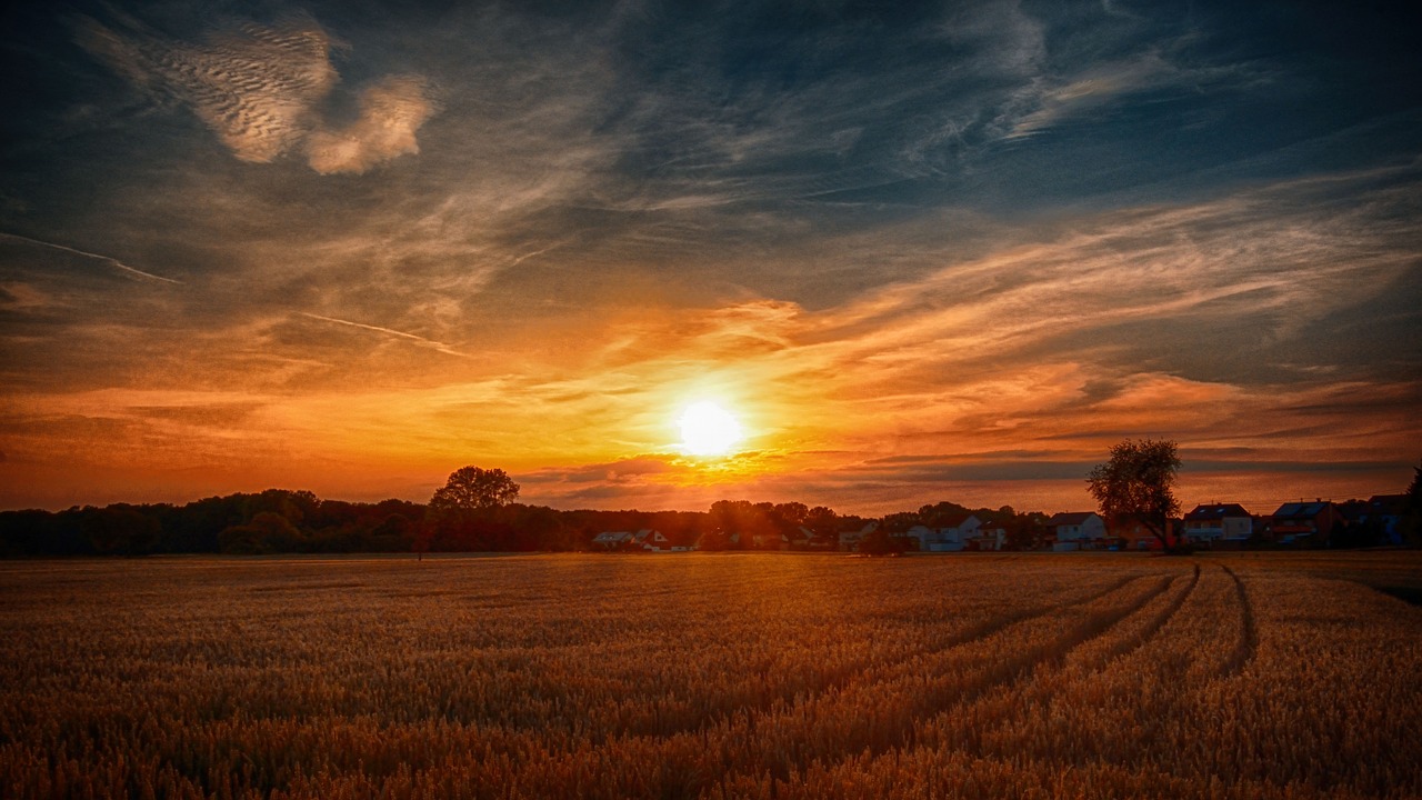 sunset  hagenbach  pfalz free photo